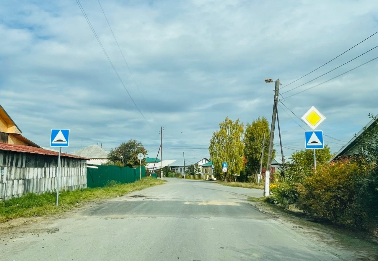 В городе появились новые «лежачие полицейские» | Гор.Сайт